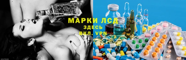 гашик Новозыбков