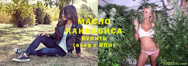 индика Новокубанск