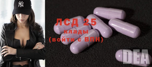 гашик Новозыбков