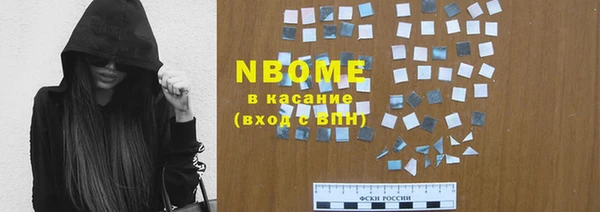 индика Новокубанск