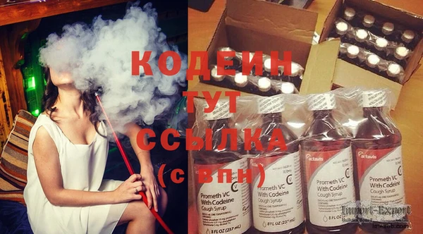 индика Новокубанск