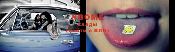 индика Новокубанск