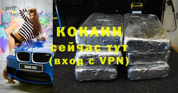 индика Новокубанск