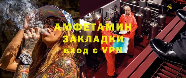 гашик Новозыбков