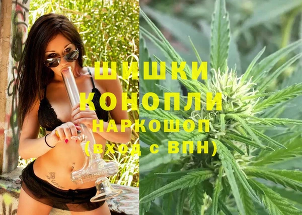 гашик Новозыбков