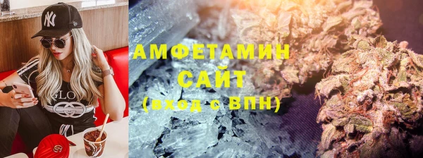 гашик Новозыбков