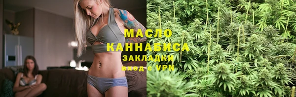 индика Новокубанск