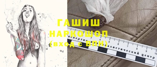 гашик Новозыбков