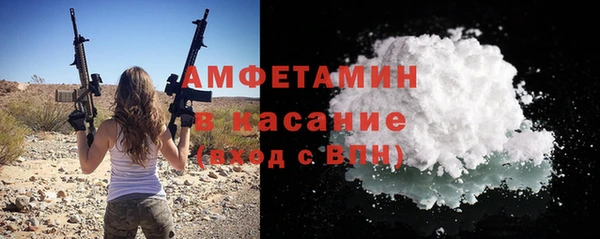 гашик Новозыбков