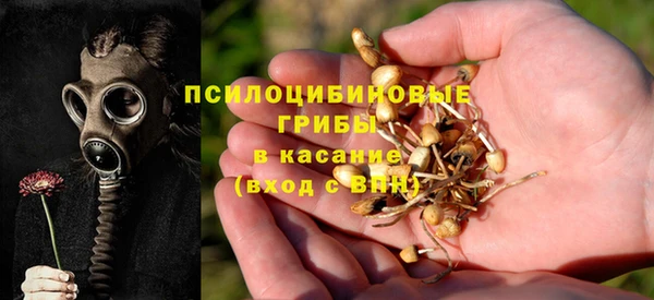 бутират Новодвинск