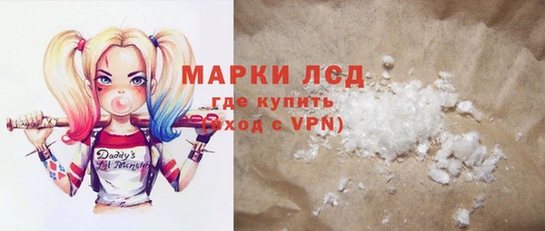 гашик Новозыбков