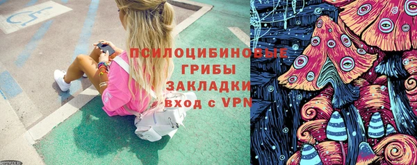 гашик Новозыбков