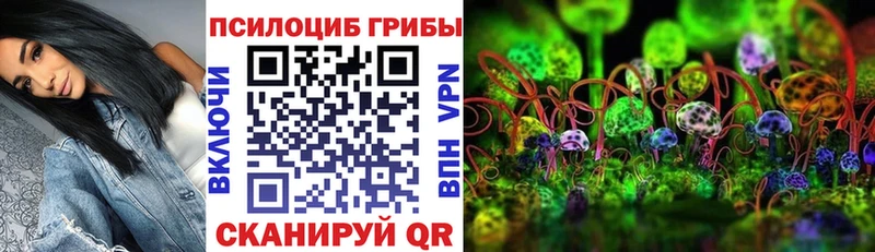 Псилоцибиновые грибы Magic Shrooms  OMG вход  Ялуторовск  закладки 